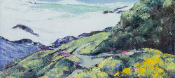 Spring on the Yzerfontein Coast | 2017 | Oil on Canvas | 61 x 40 cm